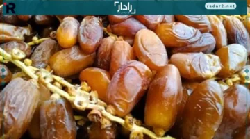 أسعار البلح في مطروح الأحد 14-12-2025: الواحاتي بـ 50 جم فقط